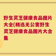 野生灵芝健康食品图片大全(精选无公害野生灵芝健康食品图片大合集