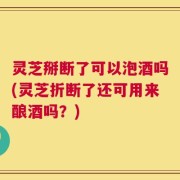 灵芝掰断了可以泡酒吗(灵芝折断了还可用来酿酒吗？)