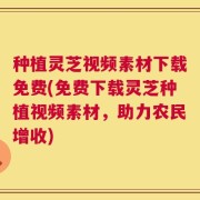 种植灵芝视频素材下载免费(免费下载灵芝种植视频素材，助力农民增收)