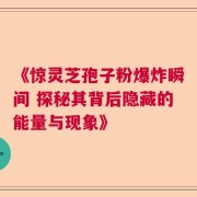 《惊灵芝孢子粉爆炸瞬间 探秘其背后隐藏的能量与现象》