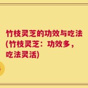 竹枝灵芝的功效与吃法(竹枝灵芝：功效多，吃法灵活)