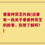 香蜜种灵芝片段(这里有一段关于香蜜种灵芝的故事，你想了解吗？)