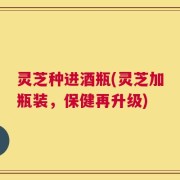 灵芝种进酒瓶(灵芝加瓶装，保健再升级)