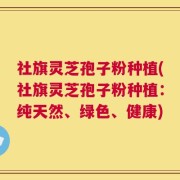 社旗灵芝孢子粉种植(社旗灵芝孢子粉种植：纯天然、绿色、健康)