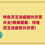 特色灵芝汤底图片欣赏大全(精美图集：惊艳灵芝汤底照片欣赏)