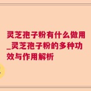 灵芝孢子粉有什么做用_灵芝孢子粉的多种功效与作用解析