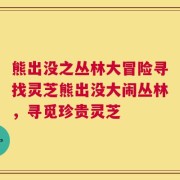 熊出没之丛林大冒险寻找灵芝熊出没大闹丛林，寻觅珍贵灵芝