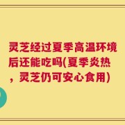 灵芝经过夏季高温环境后还能吃吗(夏季炎热，灵芝仍可安心食用)