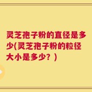 灵芝孢子粉的直径是多少(灵芝孢子粉的粒径大小是多少？)