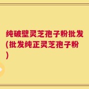 纯破壁灵芝孢子粉批发(批发纯正灵芝孢子粉)