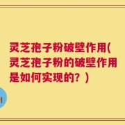 灵芝孢子粉破壁作用(灵芝孢子粉的破壁作用是如何实现的？)