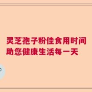 灵芝孢子粉佳食用时间助您健康生活每一天