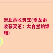 崇左市收灵芝(崇左市收获灵芝：大自然的馈赠)