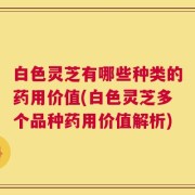 白色灵芝有哪些种类的药用价值(白色灵芝多个品种药用价值解析)