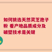 如何挑选天然灵芝孢子粉 看产地品质成分及破壁技术是关键