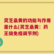 灵芝桑黄的功能与作用是什么(灵芝桑黄：药王级免疫调节剂)