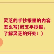 灵芝的手抄报里的内容怎么写(灵芝手抄报，了解灵芝的好处！)