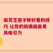 拍灵芝孢子粉好看的技巧 让你的拍摄画面更具吸引力