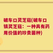 破车口灵芝菇(破车口镇灵芝菇：一种具有药用价值的珍贵菌种)