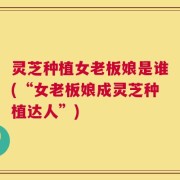 灵芝种植女老板娘是谁(“女老板娘成灵芝种植达人”)