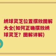 绣球灵芝位置摆放图解大全(如何正确摆放绣球灵芝？图解详解)