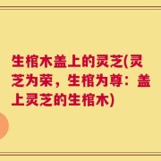 生棺木盖上的灵芝(灵芝为荣，生棺为尊：盖上灵芝的生棺木)