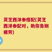 灵芝西洋参搭配(灵芝西洋参配对，助你告别疲劳)