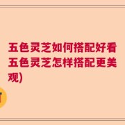 五色灵芝如何搭配好看五色灵芝怎样搭配更美观)