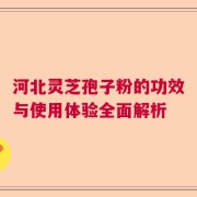 河北灵芝孢子粉的功效与使用体验全面解析