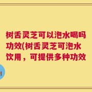 树舌灵芝可以泡水喝吗功效(树舌灵芝可泡水饮用，可提供多种功效