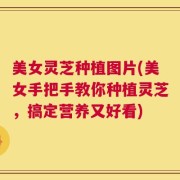 美女灵芝种植图片(美女手把手教你种植灵芝，搞定营养又好看)