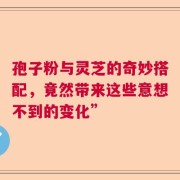 孢子粉与灵芝的奇妙搭配，竟然带来这些意想不到的变化”