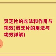 灵芝片的吃法和作用与功效(灵芝片的用法与功效详解)