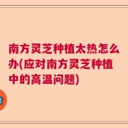 南方灵芝种植太热怎么办(应对南方灵芝种植中的高温问题)