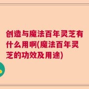 创造与魔法百年灵芝有什么用啊(魔法百年灵芝的功效及用途)