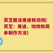 灵芝做法用途和功效(灵芝：用途、功效和简单制作方法)