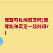 鹿茸可以炖灵芝吗(鹿茸能和灵芝一起炖吗？)