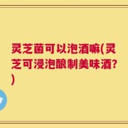 灵芝菌可以泡酒嘛(灵芝可浸泡酿制美味酒？)