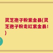 灵芝孢子粉紫金县(灵芝孢子粉走红紫金县！)