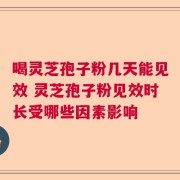 喝灵芝孢子粉几天能见效 灵芝孢子粉见效时长受哪些因素影响