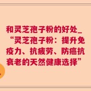 和灵芝孢子粉的好处_“灵芝孢子粉：提升免疫力、抗疲劳、防癌抗衰老的天然健康选择”