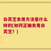 白灵芝食用方法是什么样的(如何正确食用白灵芝？)
