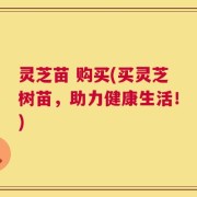 灵芝苗 购买(买灵芝树苗，助力健康生活！)