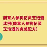 鹿茸人参枸杞灵芝泡酒比例(鹿茸人参枸杞灵芝泡酒的完美配方)