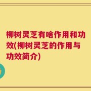 柳树灵芝有啥作用和功效(柳树灵芝的作用与功效简介)