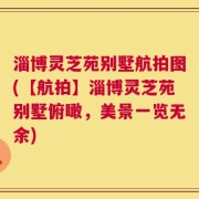 淄博灵芝苑别墅航拍图(【航拍】淄博灵芝苑别墅俯瞰，美景一览无余)