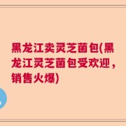 黑龙江卖灵芝菌包(黑龙江灵芝菌包受欢迎，销售火爆)