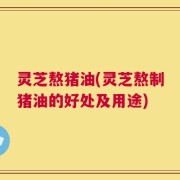 灵芝熬猪油(灵芝熬制猪油的好处及用途)