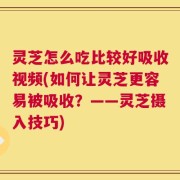 灵芝怎么吃比较好吸收视频(如何让灵芝更容易被吸收？——灵芝摄入技巧)