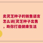 卖灵芝种子的销售语言怎么说(灵芝种子出售，助你打造健康生活